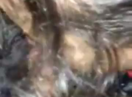 فيديو سقس كويتية نيك طيز بعنف Xnxx